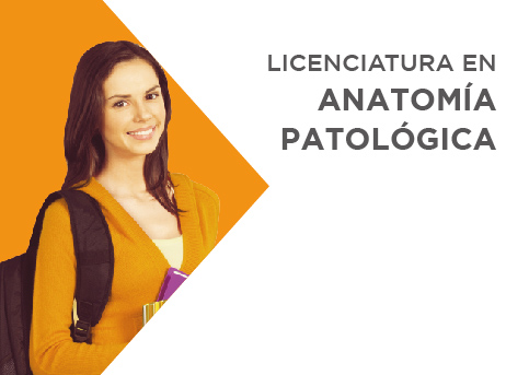 Licenciatura en Anatomía Patológica